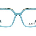 C.1 BLUE