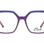 C.1 BLUE PINK